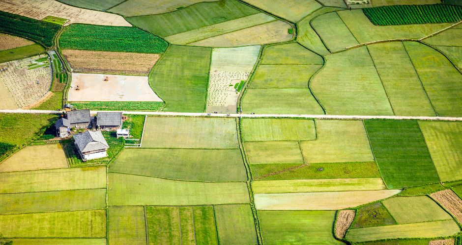 survey greenfield site